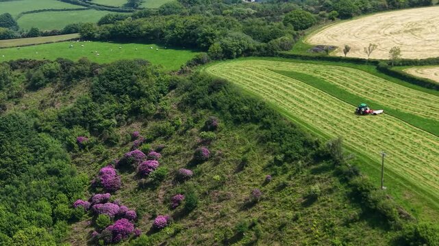 Lush, Colourful Farming Landscape with Tractor mowing green field in English countryside in Spring. Agricultural industries, commercial landscaping, rural lifestyle. 4K.