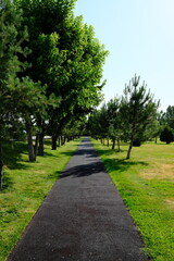 Fototapeta premium Clean asphalt walkway passing through a green well-kept parkway. Concept of urban ecology, healthy lifestyle, and
