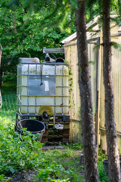 Large plastic IBC tote water tank for rainwater harvesting in a green backyard garden.Rainwater collection system with an intermediate bulk container placed next to a garden shed.Eco friendly water st