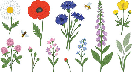 Wildflowers and Field Blooms Vector Icon Set with Poppy Chamomile Cornflower Foxglove Clover Buttercup and Honey Bees for Botanical Summer Meadow Graphic Designs © Rownok