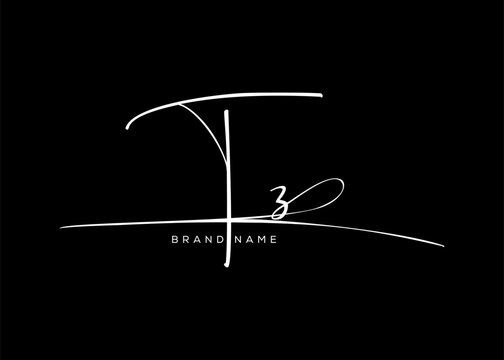 TZ letter beauty cursive handwriting logo. vector logo| abstract logo| minimalist logo| brand identity| calligraphy design.