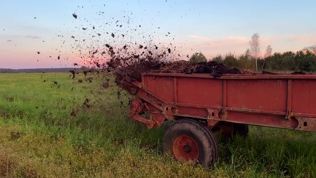 Manure spreader distributing organic fertilizer in a green field at sunset
