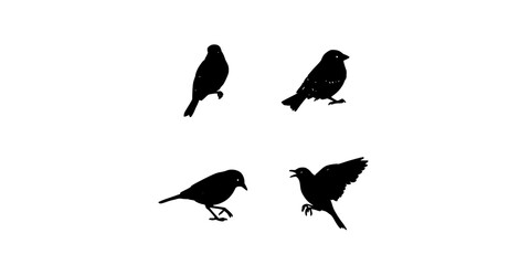 Obraz premium Bird Silhouette Illustrations on White Background Showing Four Different Poses in Simple Graphic Style for Creative Design Projects