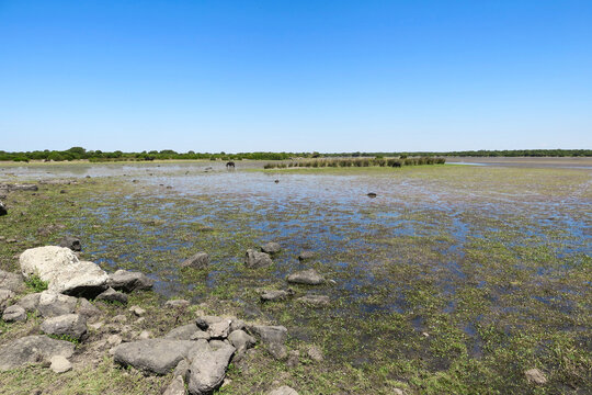 Laguna con cielo azzurro e paesaggio naturale aperto in Sardegna