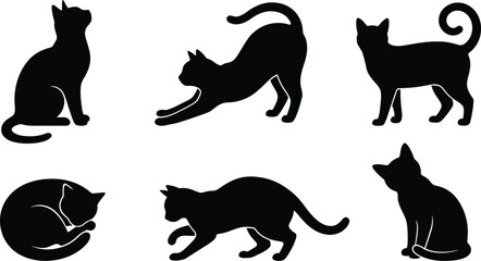 Black Cat Poses and Feline Posture Silhouette Set © Hafsa