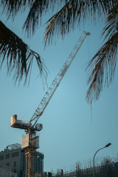 Construction crane and tropical palm trees at urban building site under clear sky, tower crane in modern city, tropical Asian development