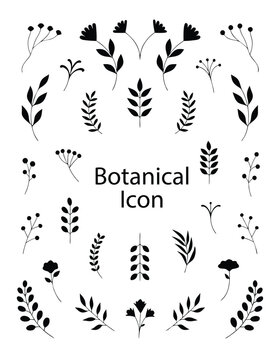Botanical icons black foliage leaf and floral silhouettes vector