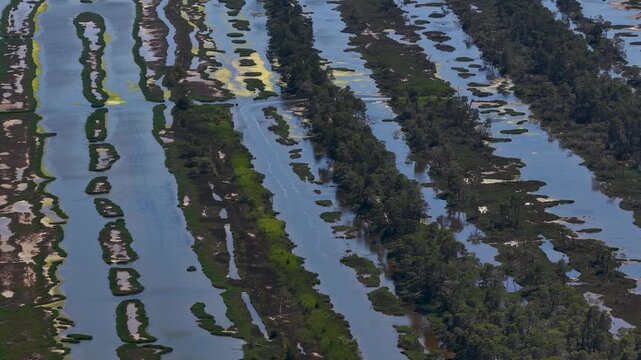 Aerial view of the unique wetlands and lush pine forests of Divjaka lagoon with narrow strips of land and calm water in Divjake, Fier County, Albania.