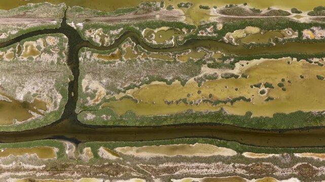 Aerial view of winding water channels and green marshland in the Divjaka lagoon Divjake, Fier County, Albania.