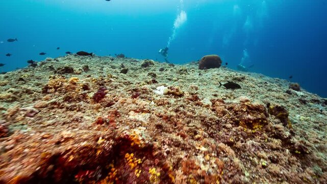 Underwater POV shot drifting over the rocky plateau of Peleliu, Palau
