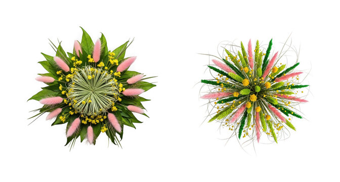 Top view of two round bouquets of dried flowers with pink lagurus and yellow mimosa isolated on transparent background