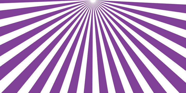  Abstract purple and white colour seamless halftone thik to thin flage arc line pattern used for as background. Vector illustration