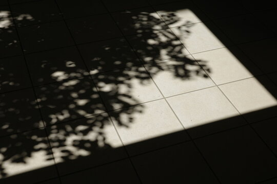 Abstract silhouette of tree leaves shadow and sunlight contrast on a tiled floor