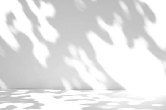 Tree leaf shadow overlay on the wall and floor isolated on a transparent background PNG