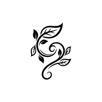 Graceful floral vine swirl decorative illustration with a delicate and artistic