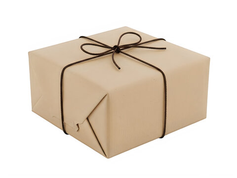 Brown wrapped gift box tied with decorative ribbon on neutral background