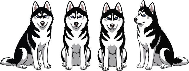 Four sitting siberian huskies with black and white fur looking happy Vector © Mst Nazma