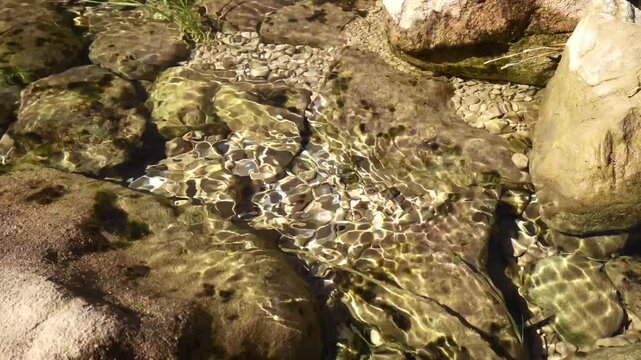 Abstract light reflections on flowing stream water, natural motion background
