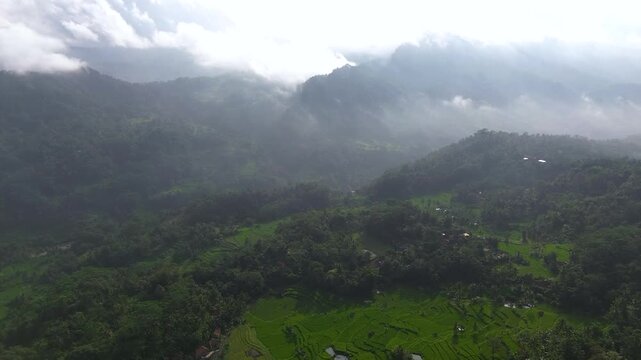 A high-angle drone perspective showcasing vibrant green rice terraces and traditional houses nestled in a peaceful tropical rural landscape.