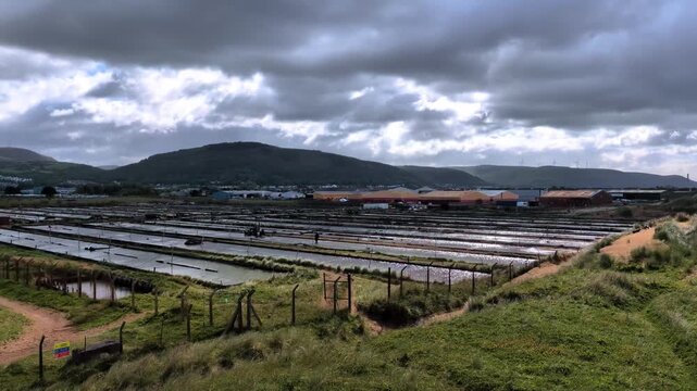 Commercial Ragworm Farm and Marine Bait Production. Sediment beds and water filtration systems used to cultivate ragworms for the global fishing bait market. United Kingdom. 4K.