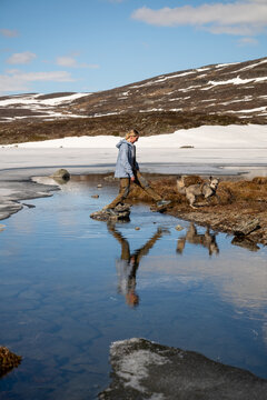 Woman hiking with dog across meltwater near frozen lake in Lapland