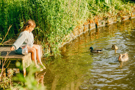 Child girl feeding waterfowl from a wooden dock beside a lake