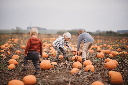 Family picking in pumpkin patch farm foggy Fall day