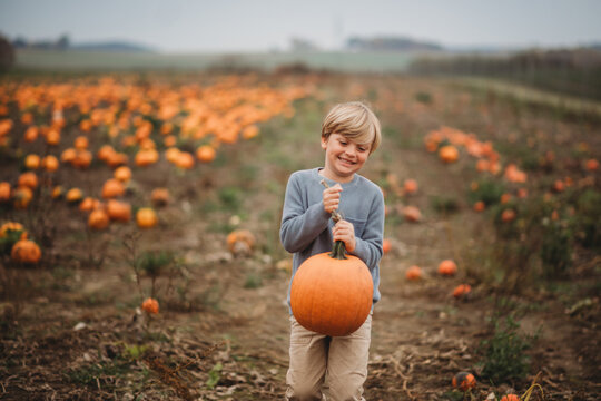 Cute blonde boy holding pumpkin in patch on foggy day