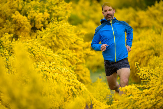Man trail running among yellow spring flowers
