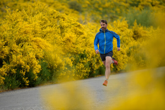 Man wearing blue jacket running on a road through yellow flowers