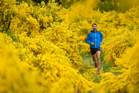 Man running on a trail surrounded by yellow wildflowers