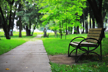 Fototapeta premium Serene Park Pathway with Wooden Bench Amidst Lush Greenery in Tranquil Outdoor Setting