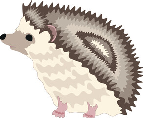 Cute funny hedgehog illustration on a white background © Юля Люта