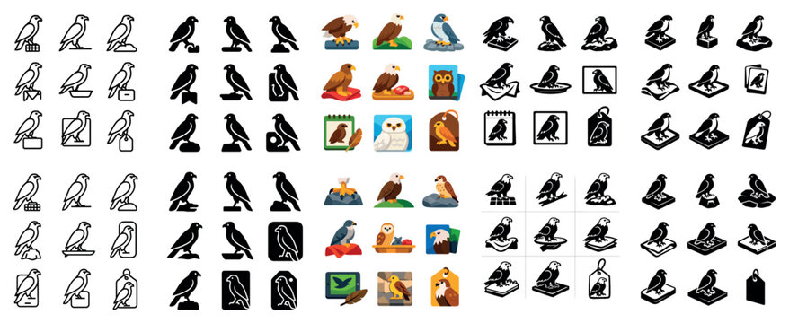 Bird and wildlife design icons with crow robin and owl for infographic layout in flat vector art
