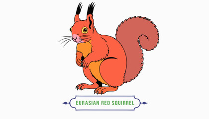 Very beautiful colorful vector illustration featuring a EURASIAN RED SQUIRREL standing upright on its hind legs, fluffy reddish-orange fur, bushy tail, alert expression, realistic anatomy, detailed wo © williamnoah