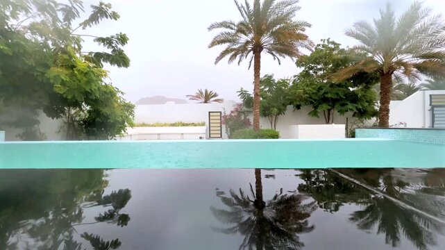 Low-angle view of calm pool reflecting palm trees at a tropical villa by the sea