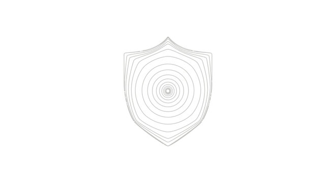 shield with concentric circles