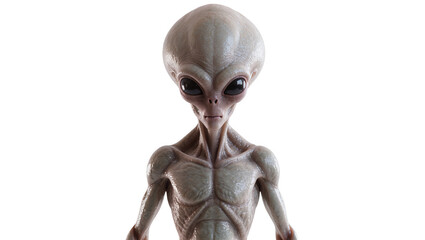 Gray alien creature with large black eyes and muscular body © Peregrine