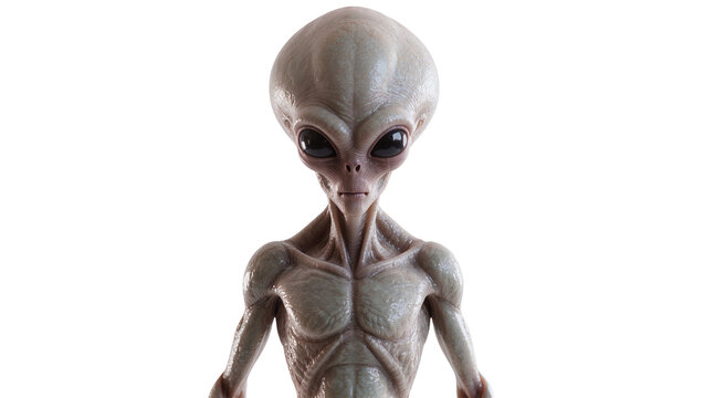 Gray alien creature with large black eyes and muscular body