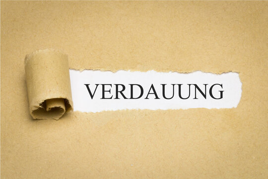 Verdauung