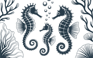 Vintage style engraving illustration of seahorses and coral reef with sea life marine life hand drawn seahorse underwater engraving illustration creature wildlife detailed botanical © MstAsmaAkter