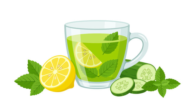 Refreshing green tea, cucumber, and lemon vector illustration, healthy drink, herbal infusion, mint leaves