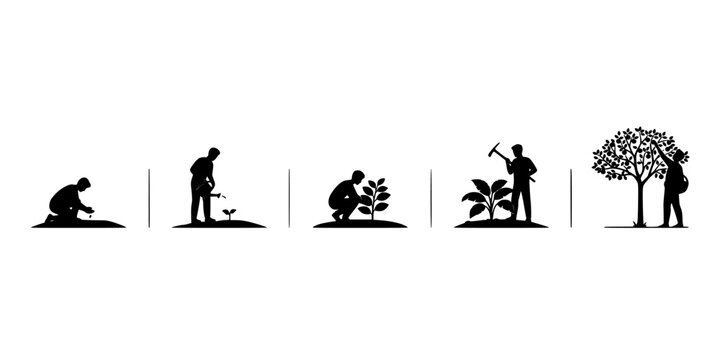 Tree Icon Set Showing Growth Stages From Seedling to Full Tree with Silhouetted People and Shovel Featuring Sapling, Silhouette, Vector