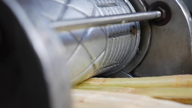 Bees crawl across a sugarcane juicing machine near metal parts at a local market stall. Agricultural production.