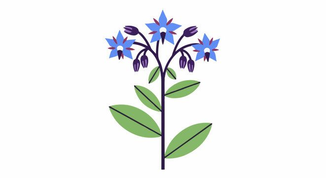 A stylized illustration of a single flowering plant with blue star-shaped blooms and green leaves