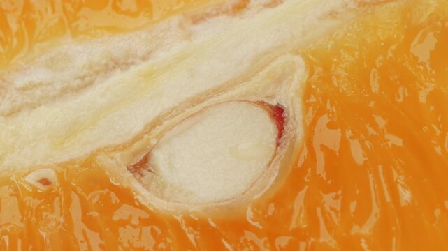 Orange slice segment close up rotating camera motion stock footage