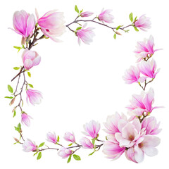 Fototapeta premium Beautiful L-shaped arrangement of vibrant pink magnolia flowers, buds, and green leaves on branches.