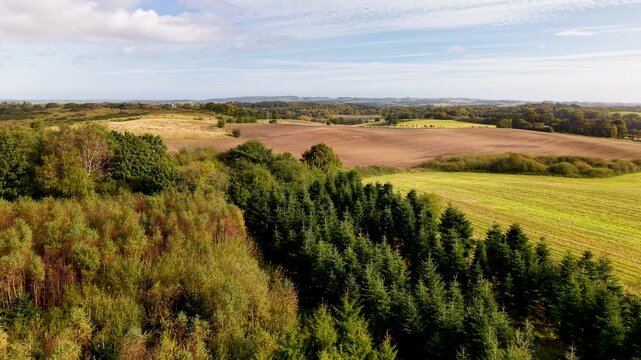 nature, wilderness, aerial, drone, slagard, banke, burial, mounds, ancient, archaeology, historic, history, monument, heritage, denmark, danish, scandinavia, nordic, prehistoric, landscape, heathland,