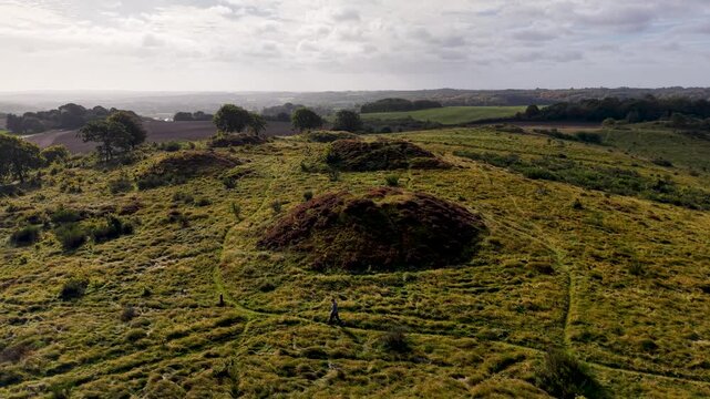 Aerial drone view of ancient Sl&aring;g&aring;rd Banke burial mounds rising from heathland landscape in rural Denmark