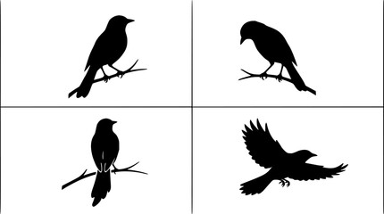 Fototapeta premium Bird Silhouette Illustration Set of Four Poses Perched and Flying on Branch, Isolated Black Vector Graphic
